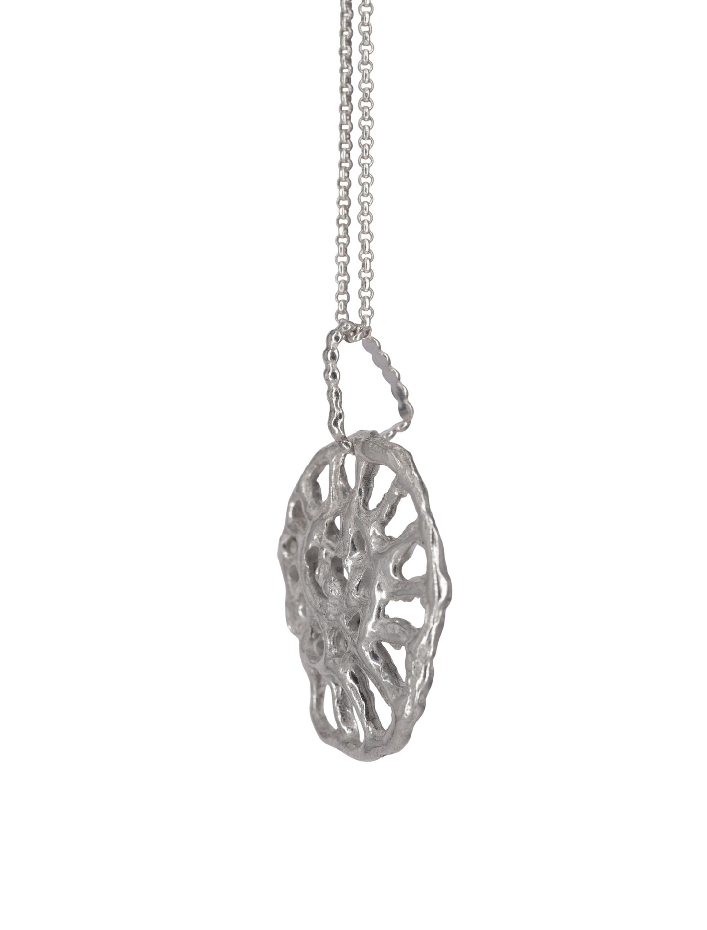 Collar Ammonite