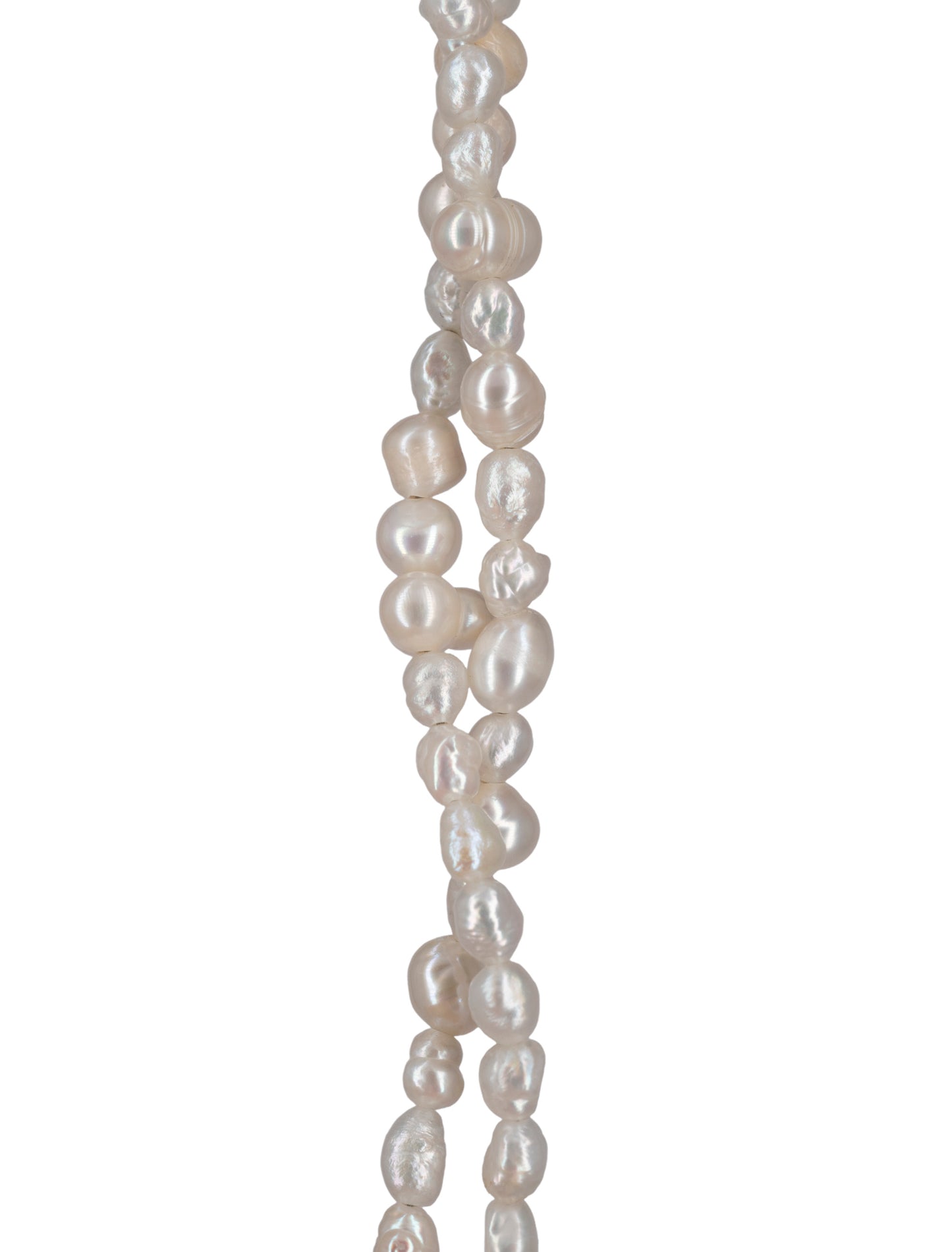 Collar Ammonite