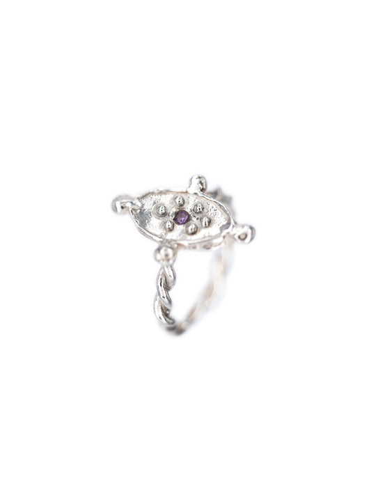 Anillo Espejo