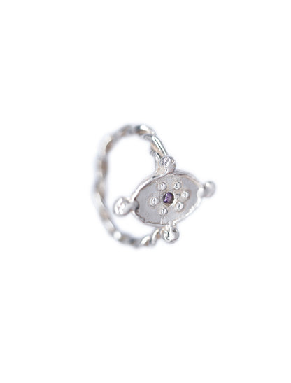 Anillo Espejo