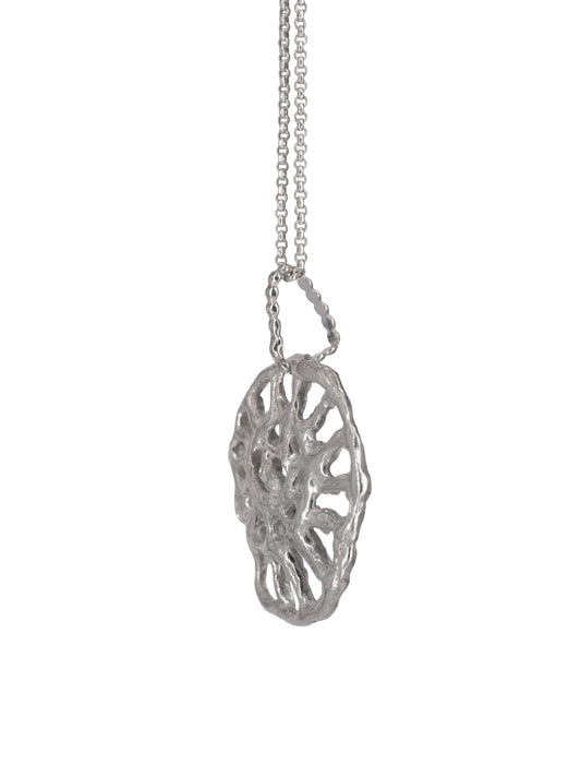 Collar Ammonite