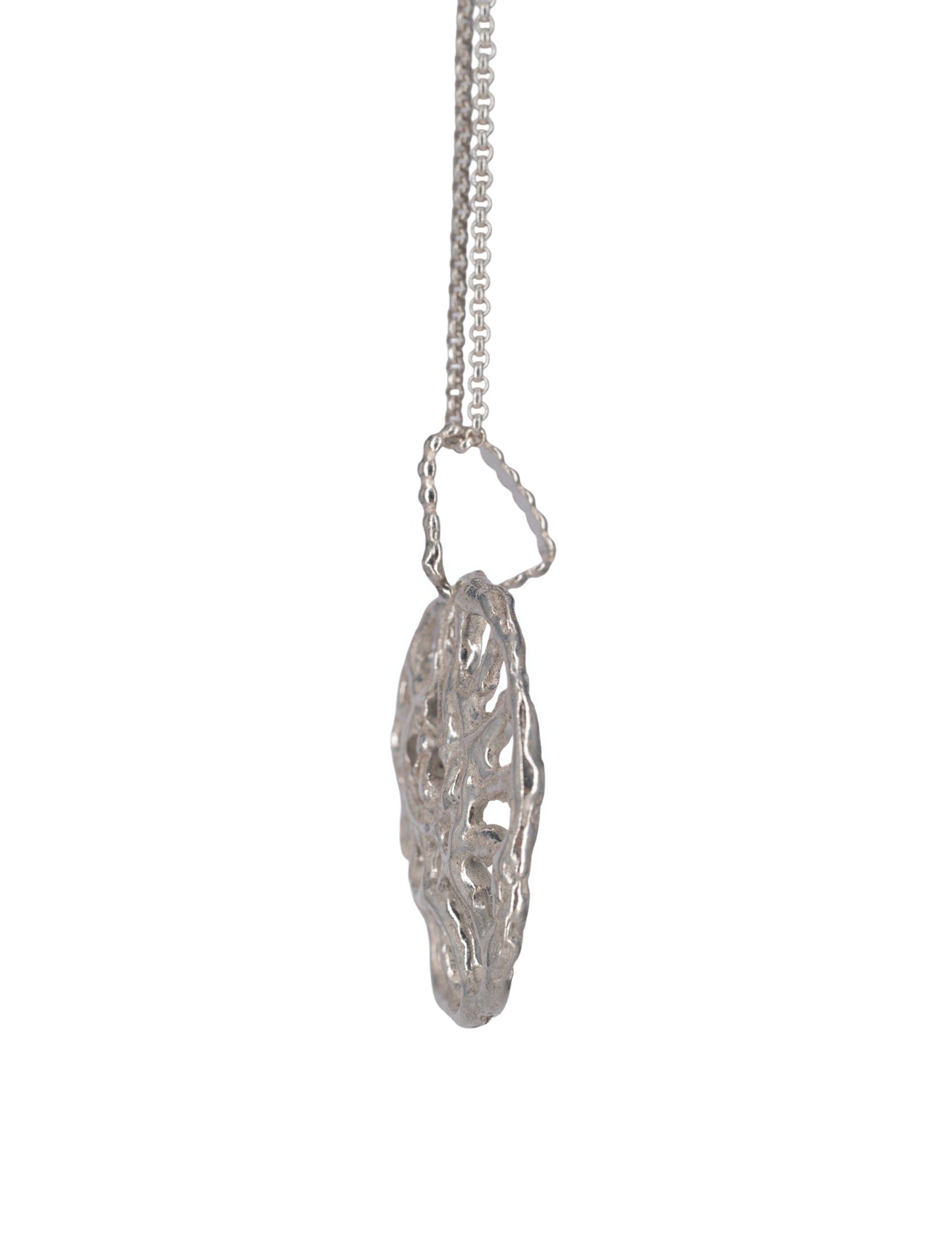Collar Ammonite