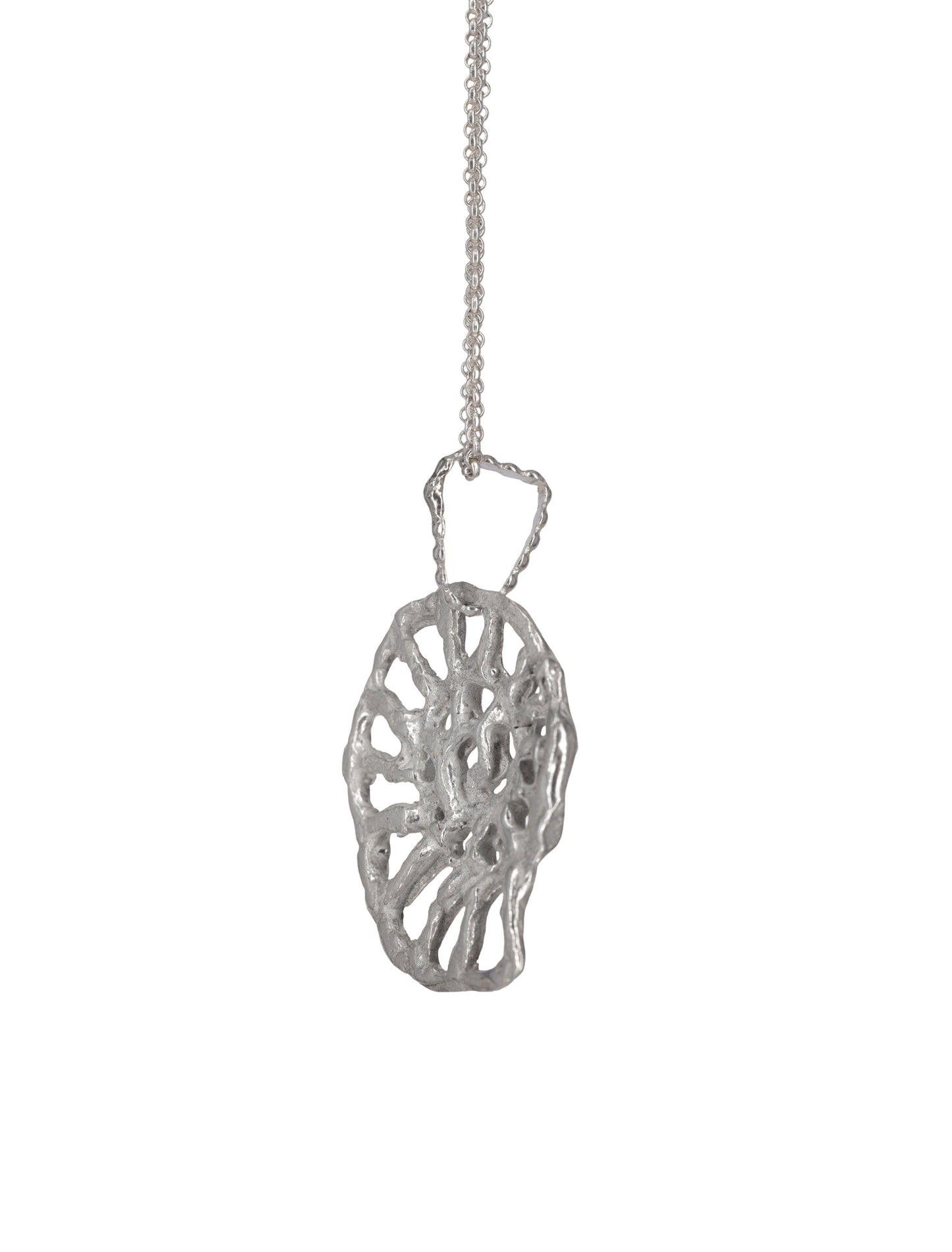 Collar Ammonite