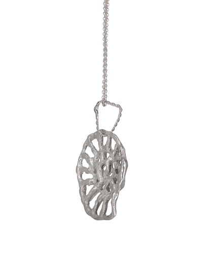 Collar Ammonite