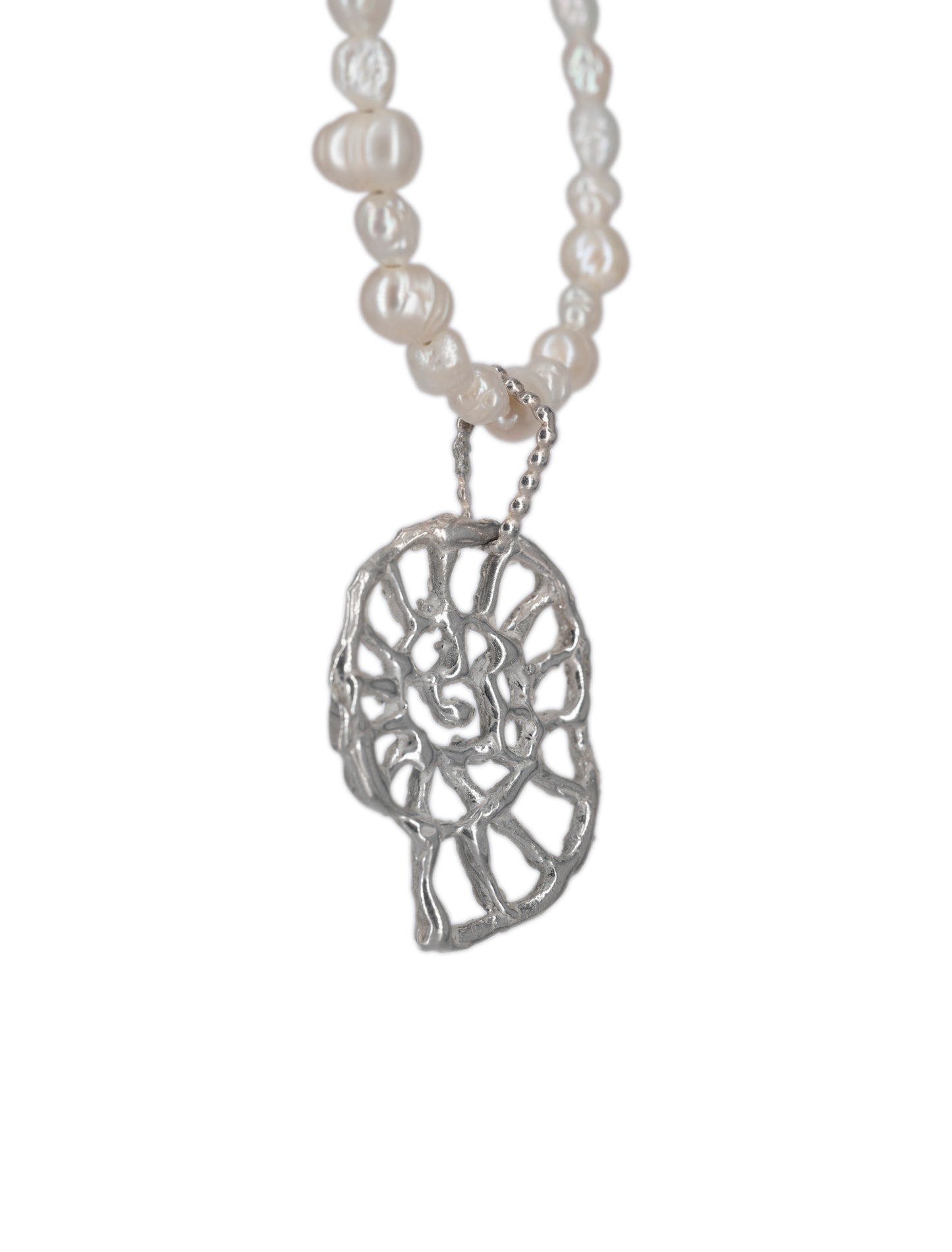 Collar Ammonite