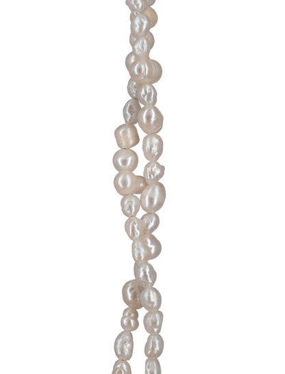 Collar Ammonite