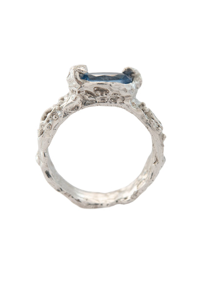 Anillo Iceni