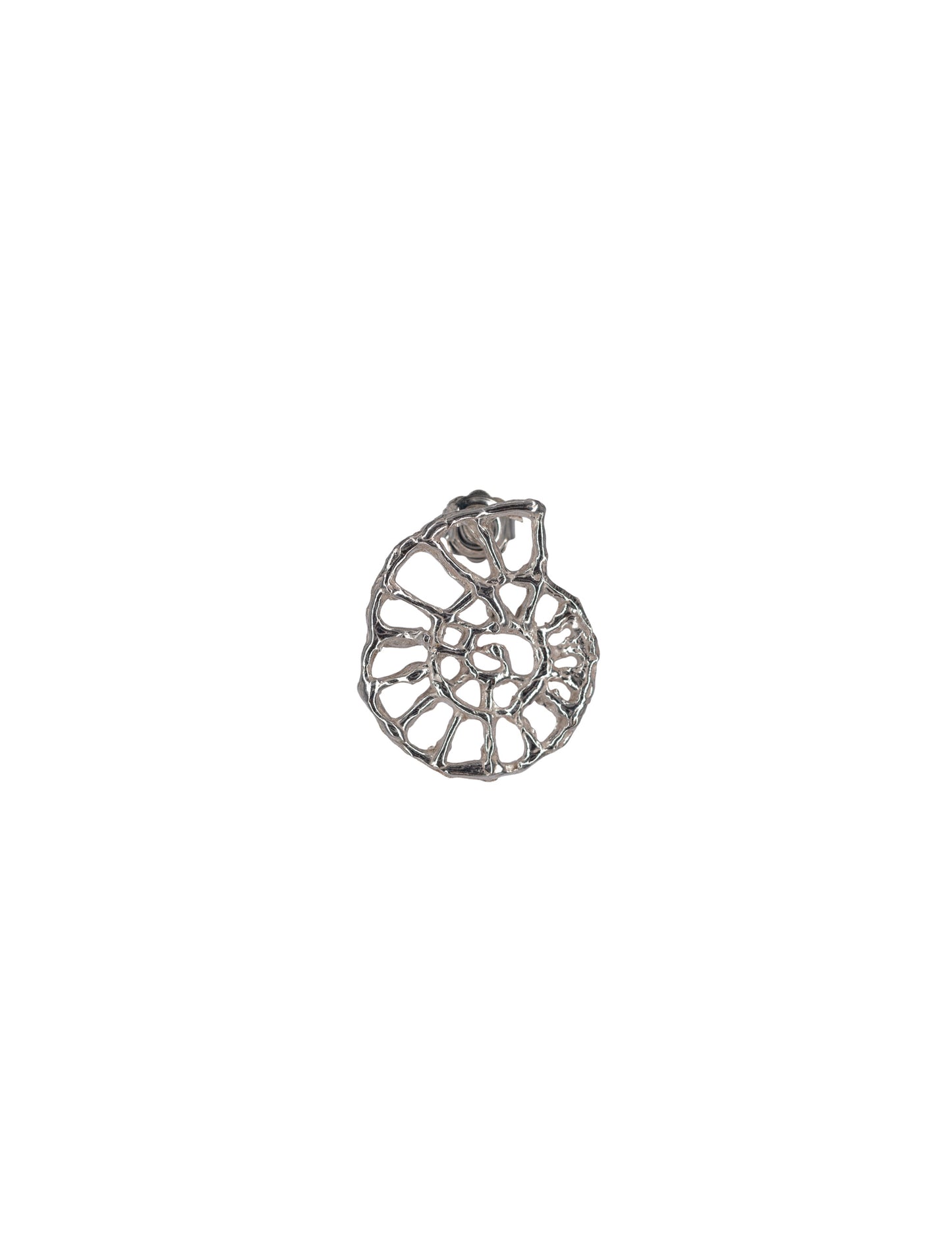 Pendientes Ammonite