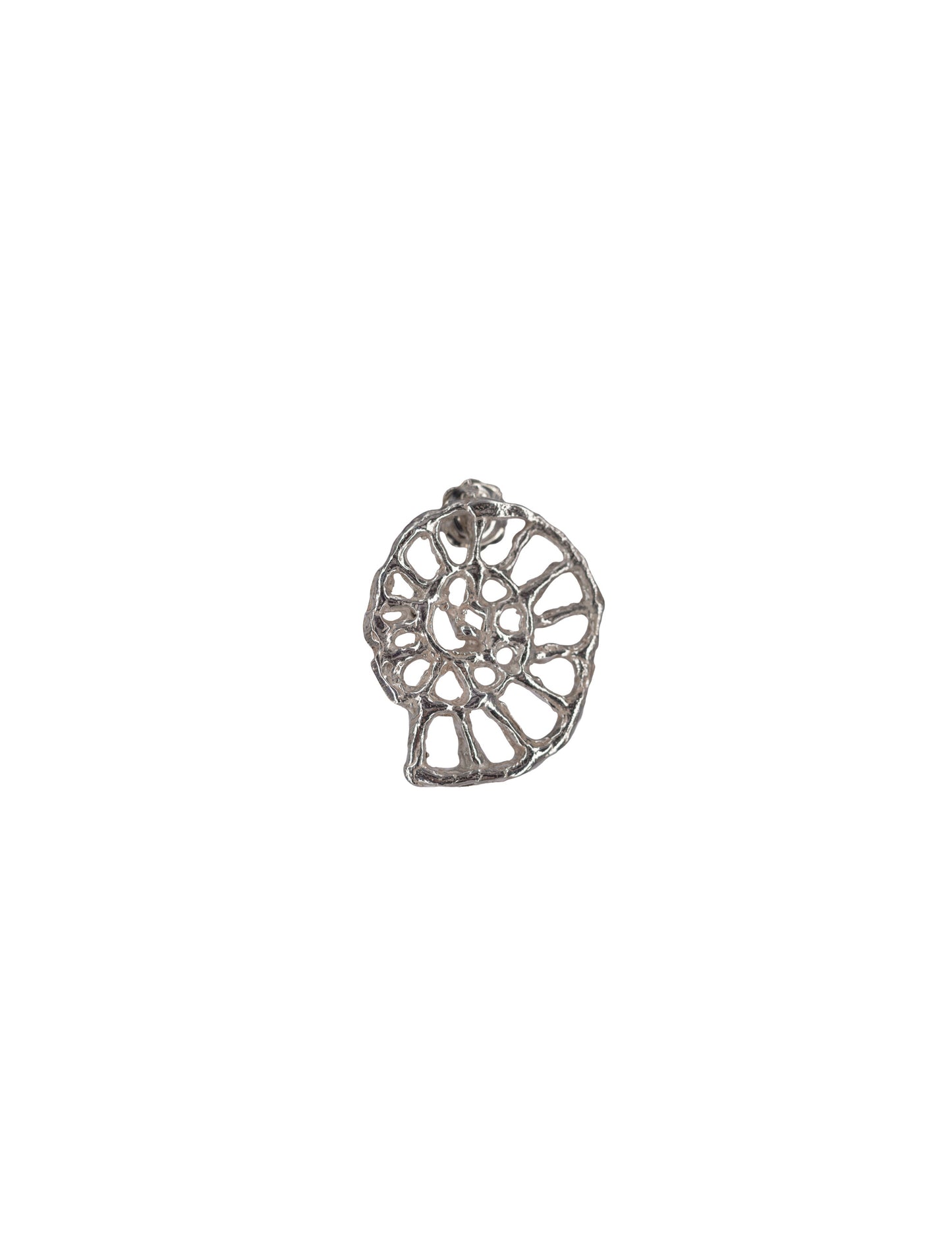 Pendientes Ammonite