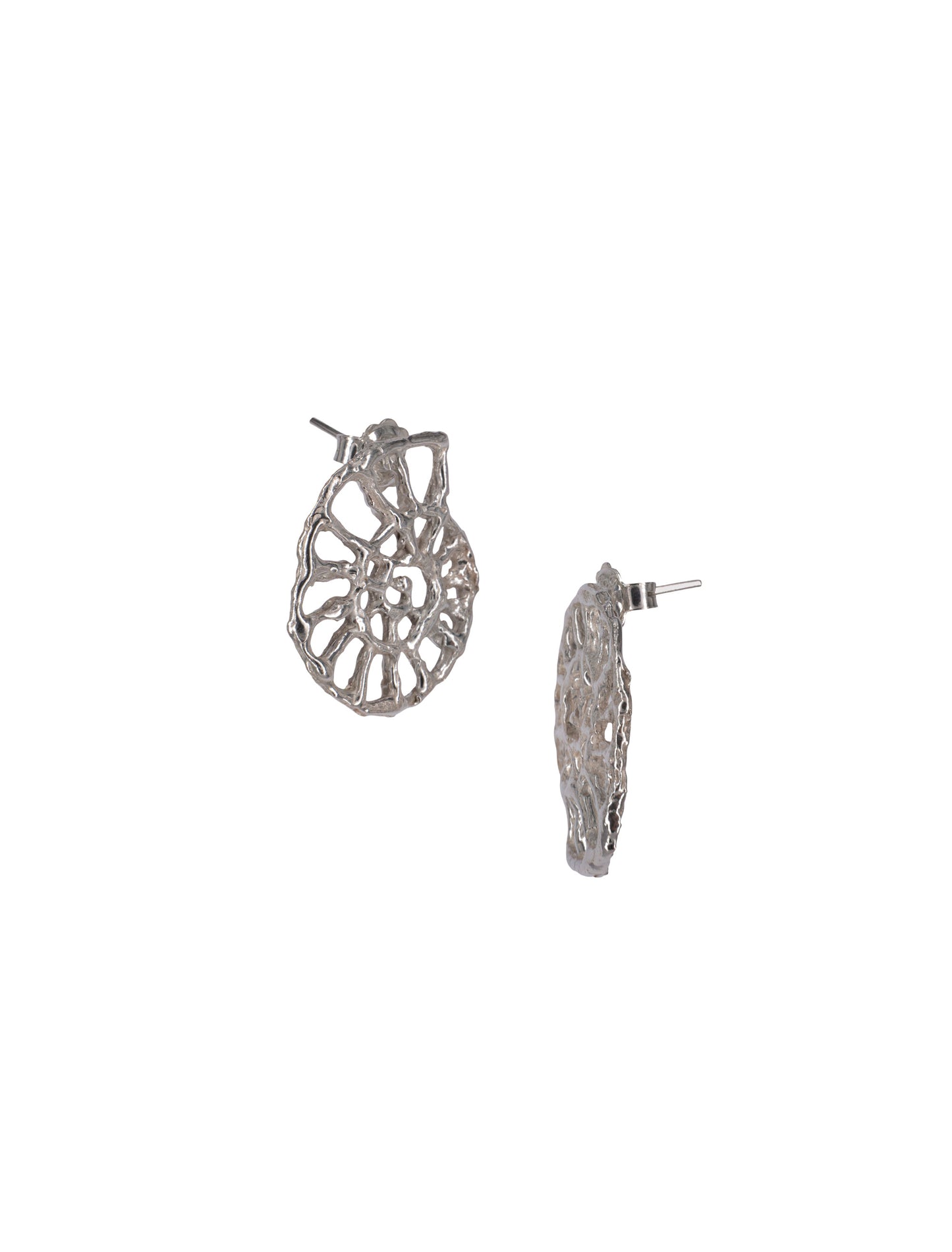 Pendientes Ammonite