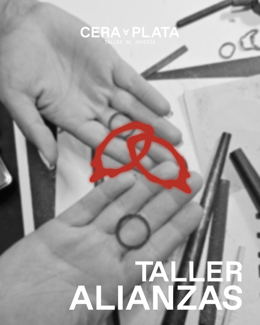 Taller Alianzas - 4h